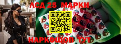 стаф Новозыбков