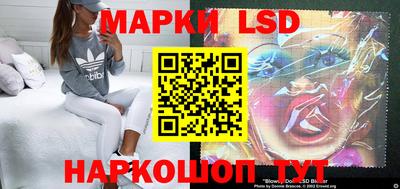 стаф Новозыбков