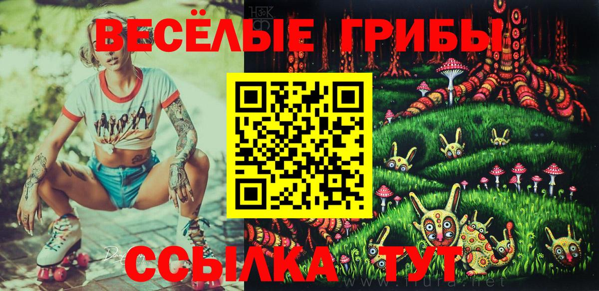 где купить наркотик  Псилоцибиновые грибы Psilocybine cubensis  Вход с VPN  Черногорск 
